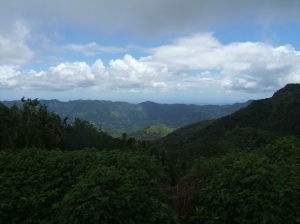 View from the highest point on the island